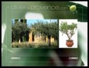 Détails : Huile d'olive